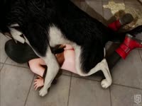 Sexy whore plays with her pink canine dildos on the floor